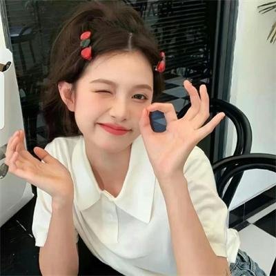 汽车女窃贼