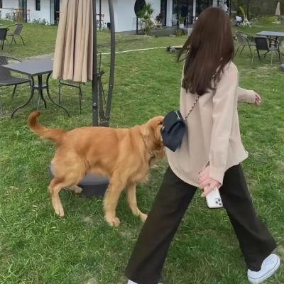 跳舞的蜗牛